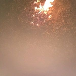 Meet your Posher, Erron